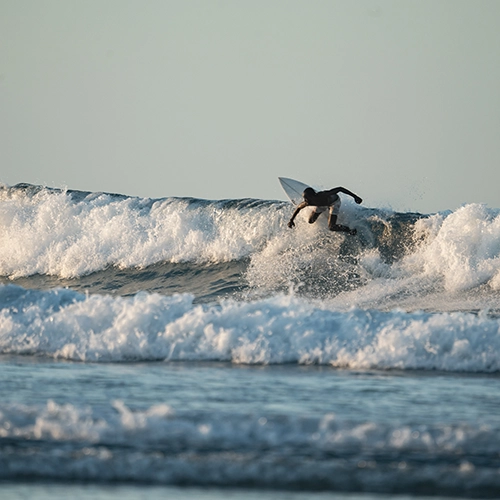Surf Gallery