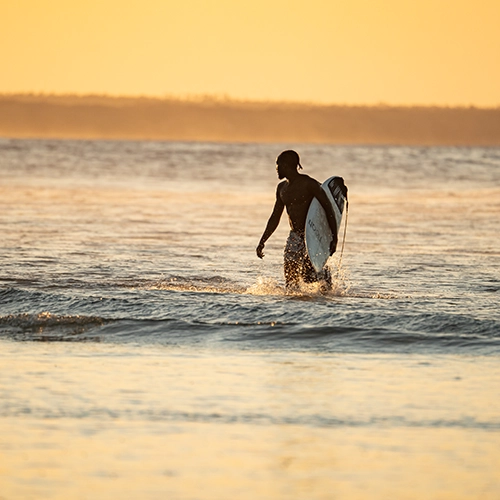 Surf Gallery