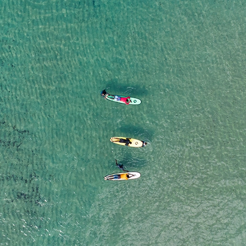 Surf Gallery